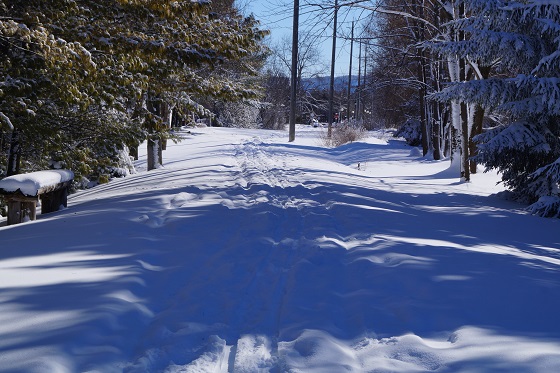 The Georgian Trail in winter